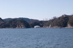 �����������ʐ^