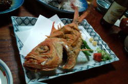 �������C�l�����ʐ^