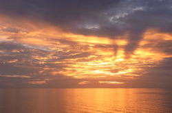 ���H�C���[�W