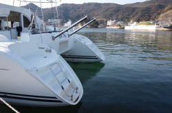 �Q�X�g���[��